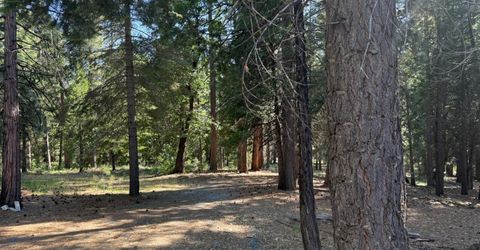 28087 Rolling Hills Rd, Pioneer, CA 95666 Photo