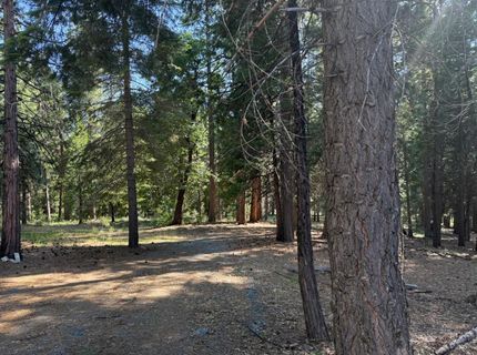 28087 Rolling Hills Rd, Pioneer, CA 95666 Photo