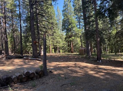 28087 Rolling Hills Rd, Pioneer, CA 95666 Photo