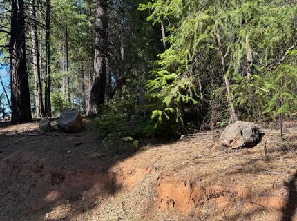 28087 Rolling Hills Rd, Pioneer, CA 95666 Photo