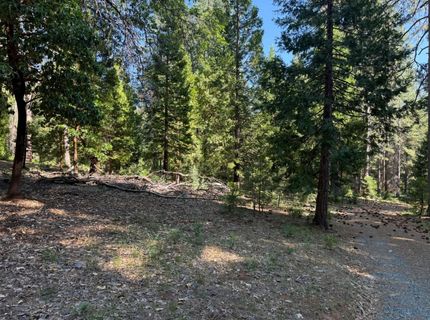 28087 Rolling Hills Rd, Pioneer, CA 95666 Photo