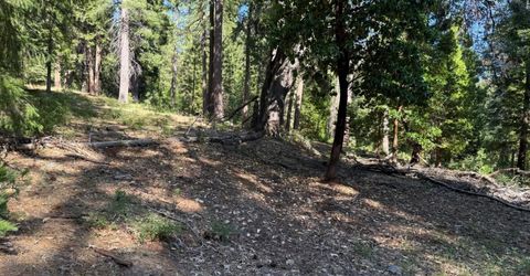 28087 Rolling Hills Rd, Pioneer, CA 95666 Photo