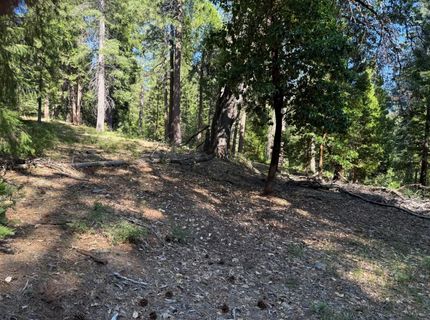 28087 Rolling Hills Rd, Pioneer, CA 95666 Photo