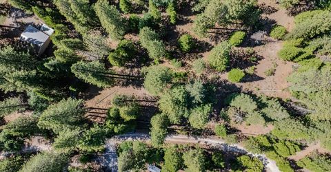 28087 Rolling Hills Rd, Pioneer, CA 95666 Photo