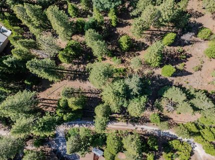 28087 Rolling Hills Rd, Pioneer, CA 95666 Photo