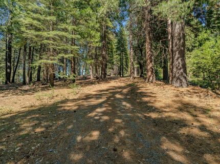 28087 Rolling Hills Rd, Pioneer, CA 95666 Photo