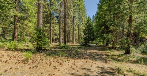 28087 Rolling Hills Rd, Pioneer, CA 95666 Photo