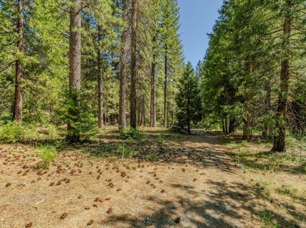 28087 Rolling Hills Rd, Pioneer, CA 95666 Photo