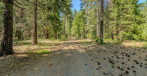 28087 Rolling Hills Rd, Pioneer, CA 95666 Photo