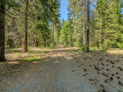 28087 Rolling Hills Rd, Pioneer, CA 95666 Photo