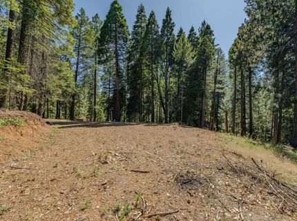 28087 Rolling Hills Rd, Pioneer, CA 95666 Photo