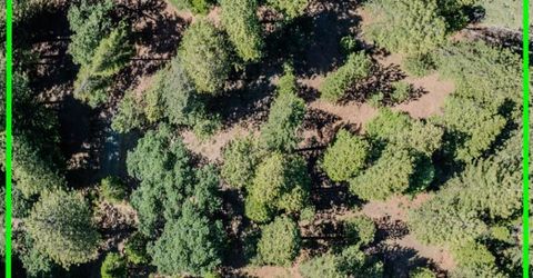 28087 Rolling Hills Rd, Pioneer, CA 95666 Photo