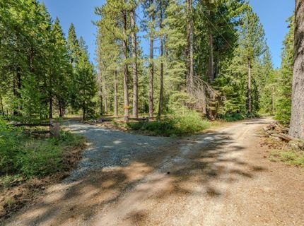 28087 Rolling Hills Rd, Pioneer, CA 95666 Photo
