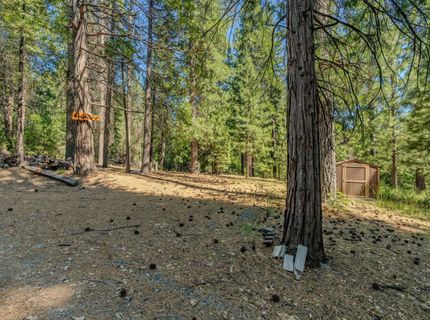 28087 Rolling Hills Rd, Pioneer, CA 95666 Photo
