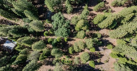 28087 Rolling Hills Rd, Pioneer, CA 95666 Photo