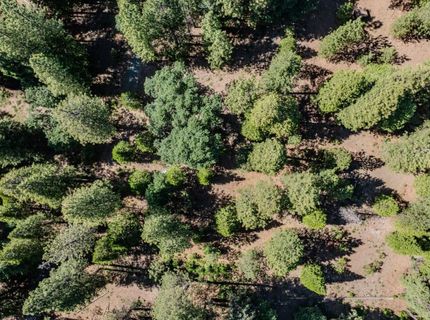 28087 Rolling Hills Rd, Pioneer, CA 95666 Photo