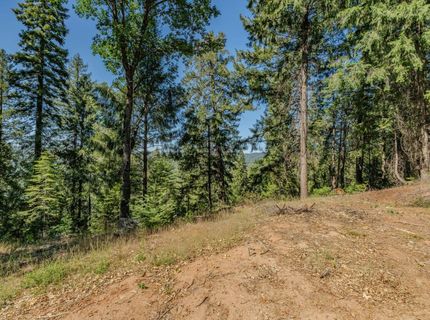 28087 Rolling Hills Rd, Pioneer, CA 95666 Photo