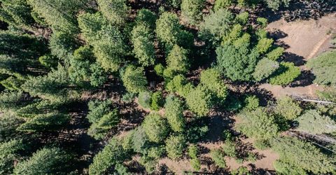 28087 Rolling Hills Rd, Pioneer, CA 95666 Photo