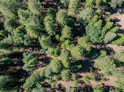 28087 Rolling Hills Rd, Pioneer, CA 95666 Photo