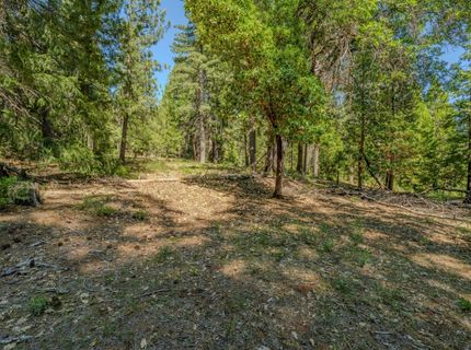 28087 Rolling Hills Rd, Pioneer, CA 95666 Photo