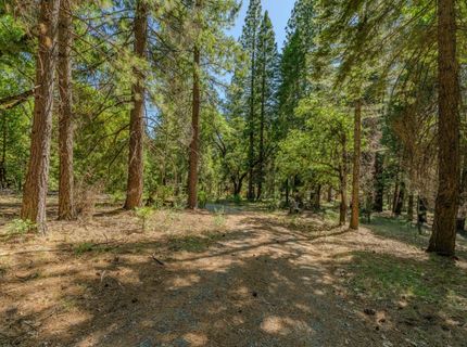 28087 Rolling Hills Rd, Pioneer, CA 95666 Photo