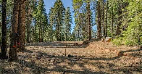 28087 Rolling Hills Rd, Pioneer, CA 95666 Photo