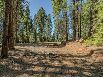 28087 Rolling Hills Rd, Pioneer, CA 95666 Photo