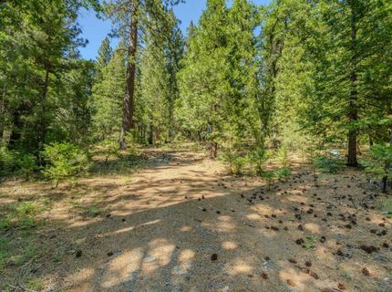 28087 Rolling Hills Rd, Pioneer, CA 95666 Photo