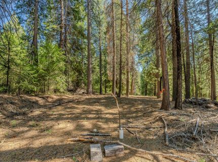 28087 Rolling Hills Rd, Pioneer, CA 95666 Photo