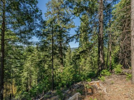 28087 Rolling Hills Rd, Pioneer, CA 95666 Photo