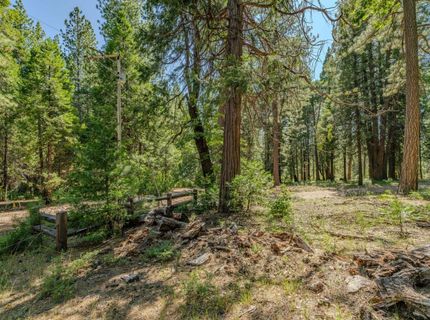 28087 Rolling Hills Rd, Pioneer, CA 95666 Photo