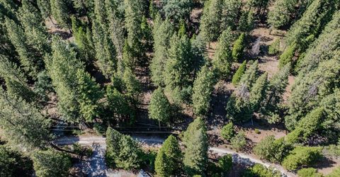 28087 Rolling Hills Rd, Pioneer, CA 95666 Photo