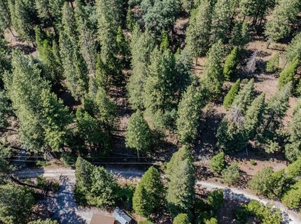 28087 Rolling Hills Rd, Pioneer, CA 95666 Photo