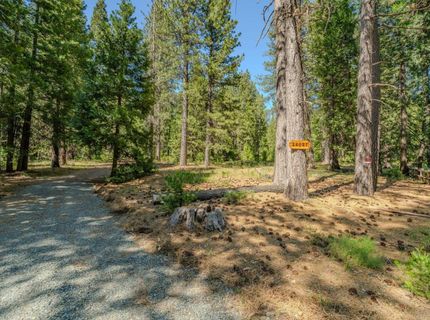 28087 Rolling Hills Rd, Pioneer, CA 95666 Photo