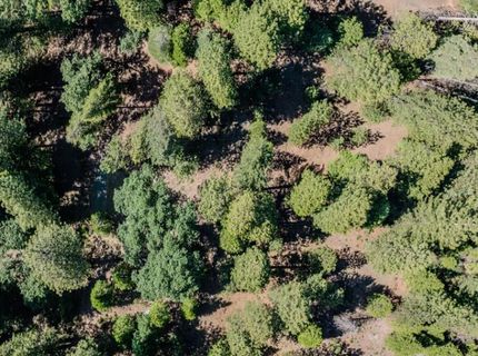 28087 Rolling Hills Rd, Pioneer, CA 95666 Photo