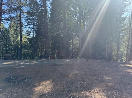 28087 Rolling Hills Rd, Pioneer, CA 95666 Photo