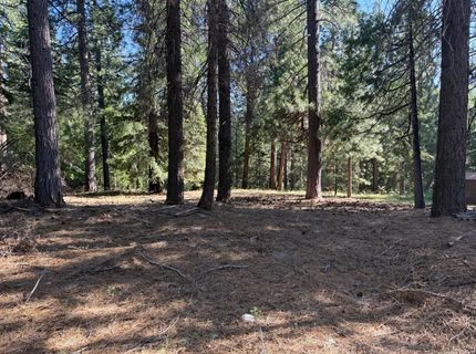 28087 Rolling Hills Rd, Pioneer, CA 95666 Photo