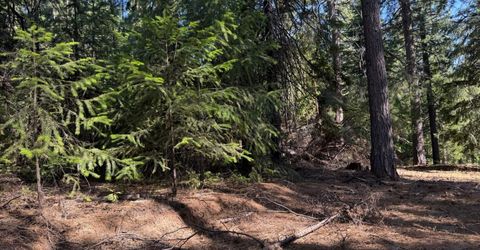 28087 Rolling Hills Rd, Pioneer, CA 95666 Photo