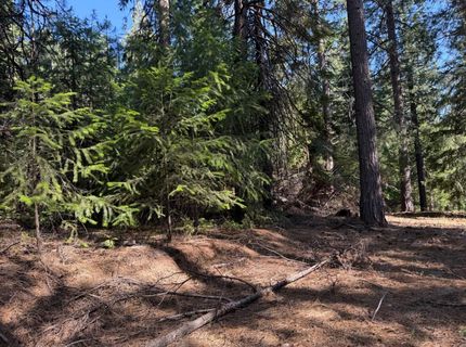 28087 Rolling Hills Rd, Pioneer, CA 95666 Photo