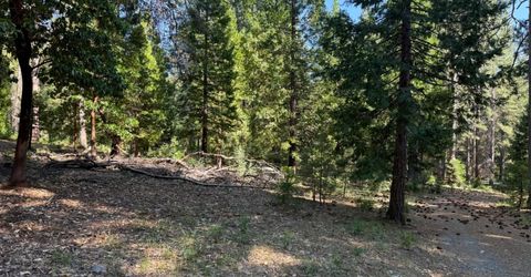 28087 Rolling Hills Rd, Pioneer, CA 95666 Photo