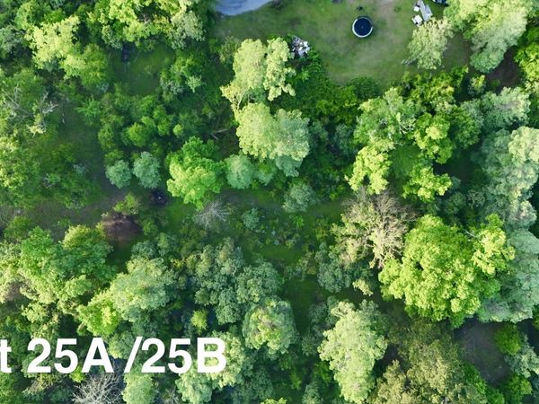 17007 Summerfield South Rd, Prairieville, LA 70769