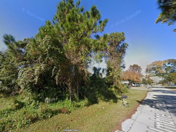 1328 UMBRELLA TREE DRIVE , EDGEWATER, FL 32132