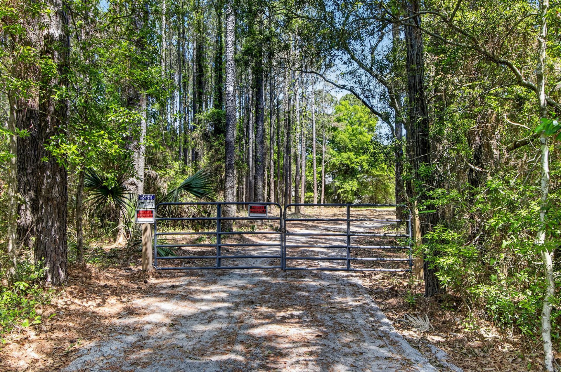 1049 Main Sail Court Photo 11