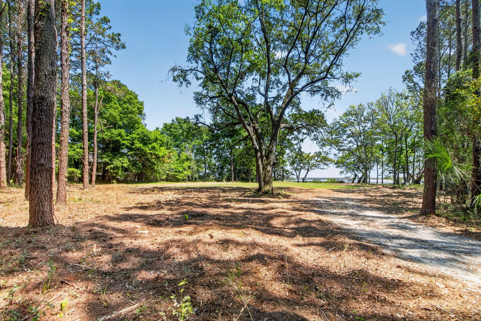 1049 Main Sail Court Photo 12