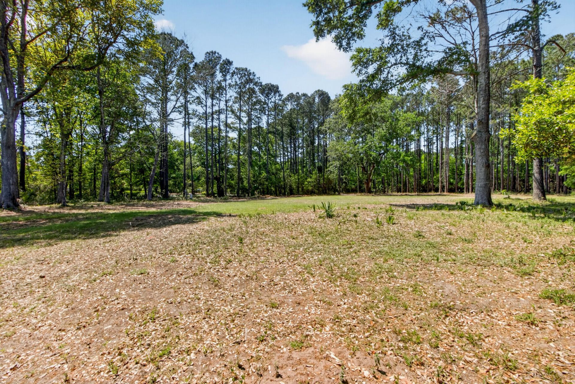 1049 Main Sail Court Photo 14