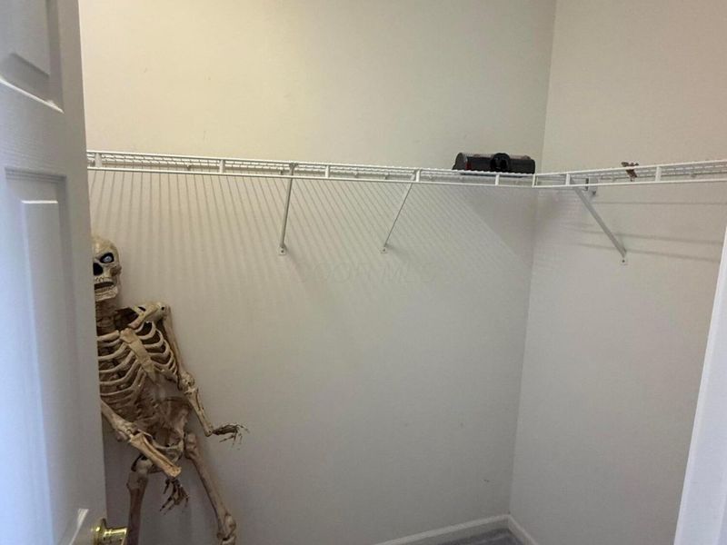 5761 Harrow Glen Court, Galena, OH 43021 Photo 23