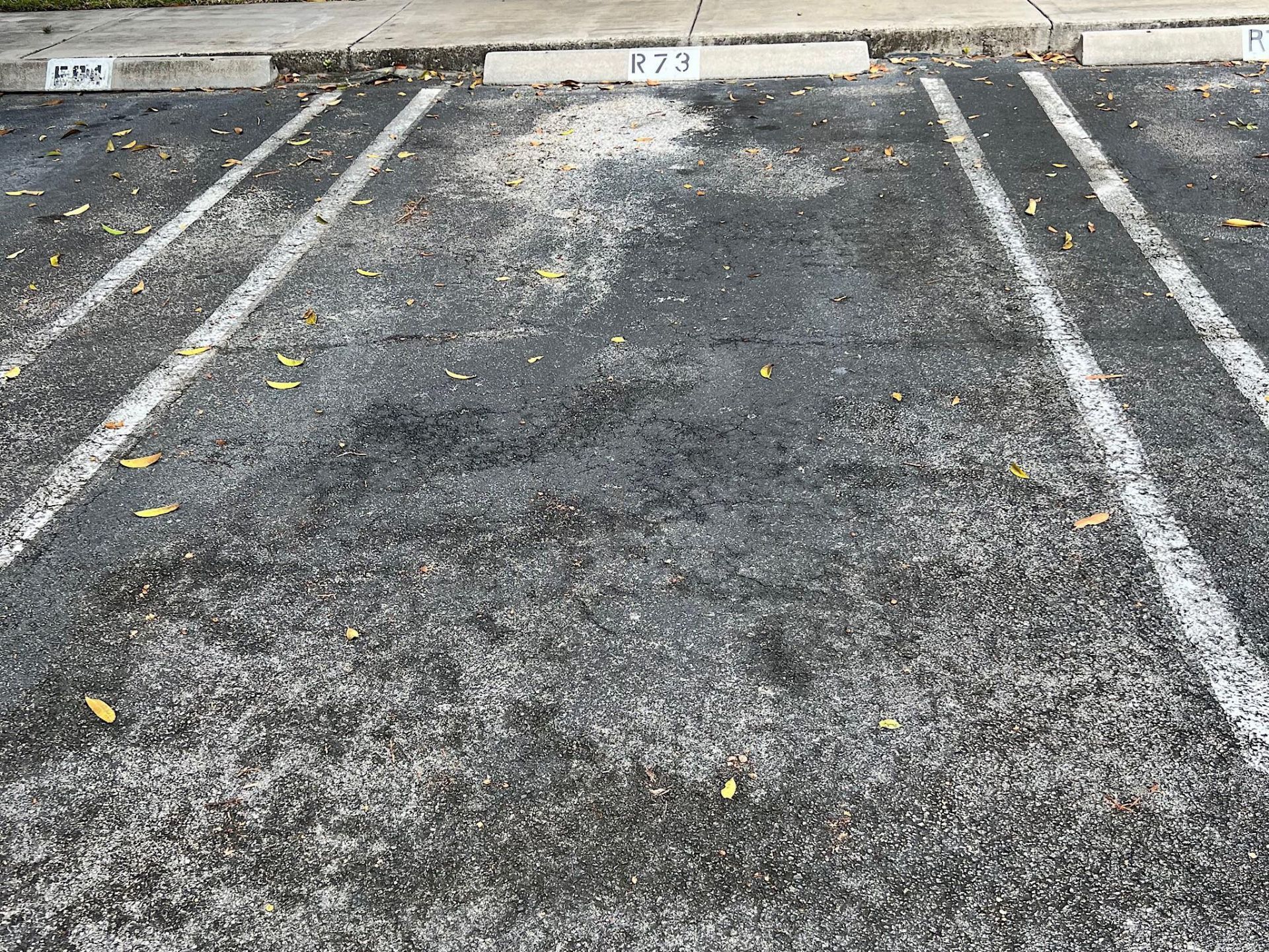 8266 NW 24th Street, Unit 8266, Coral Springs, FL 33065 Photo