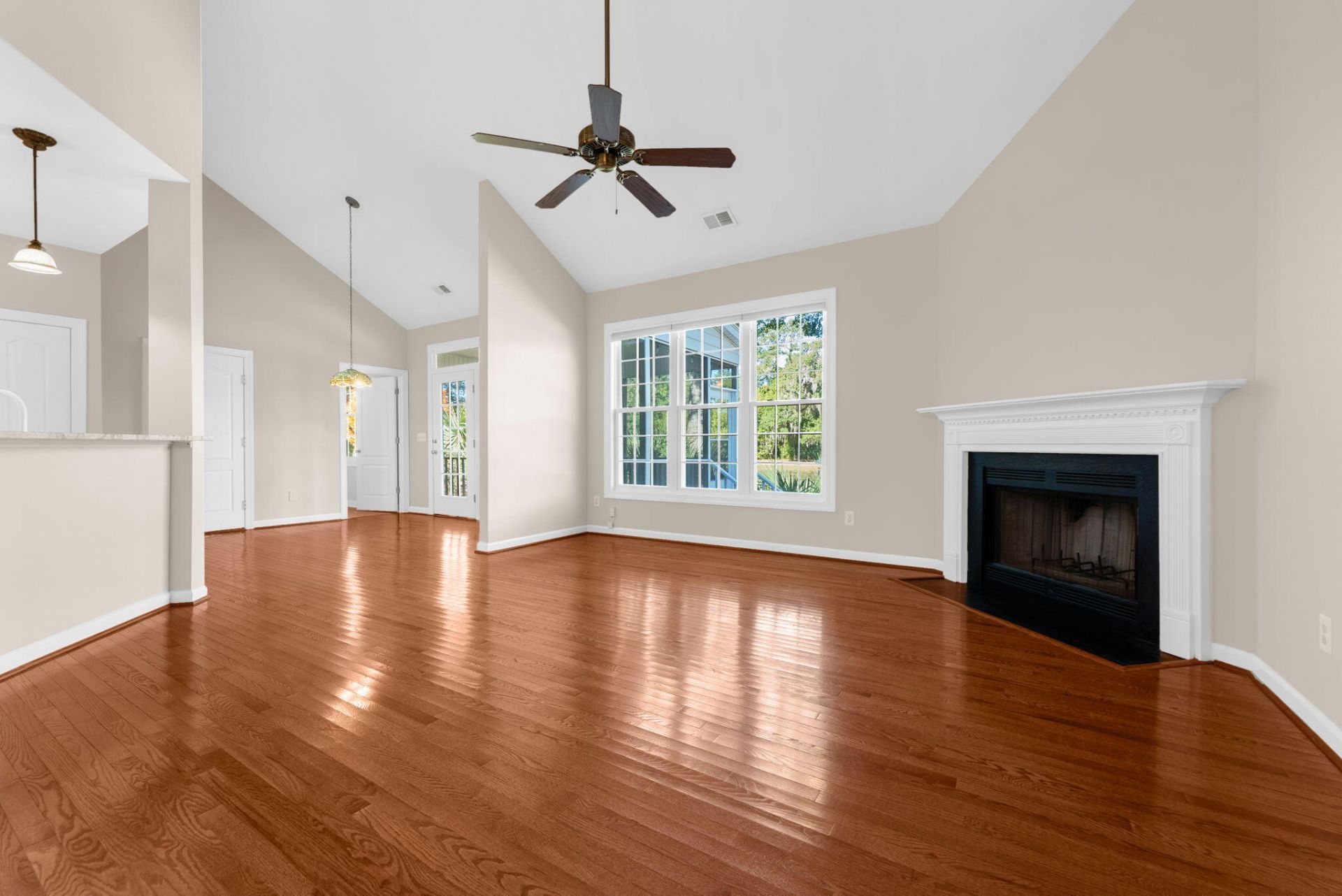 1259 Palmetto Peninsula Drive Photo 9