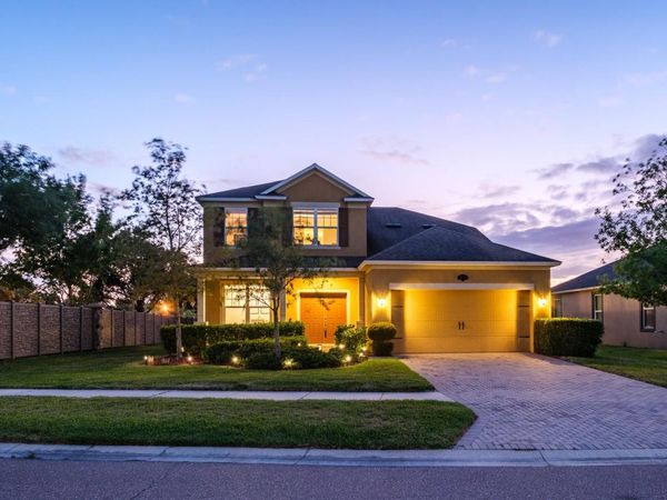 1653 NATURE VIEW DRIVE , LUTZ, FL 33558