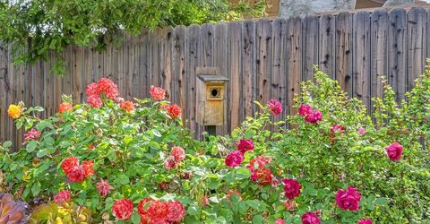 376 Rundgren Way, Folsom, CA 95630 Photo